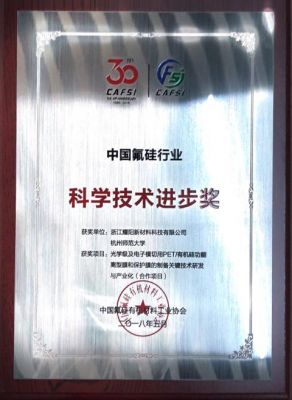 China Fluorine Silicon Industry Science and Technology Progress Award